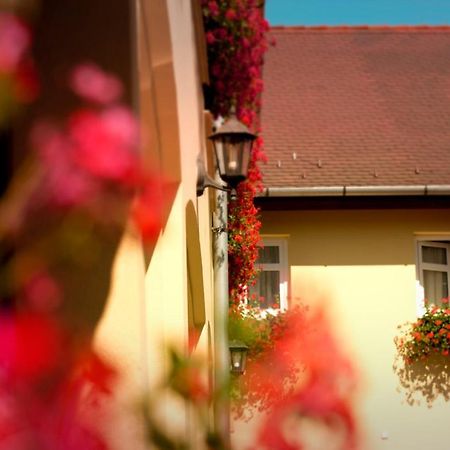 Nemethy Panzio Debrecen Exterior photo